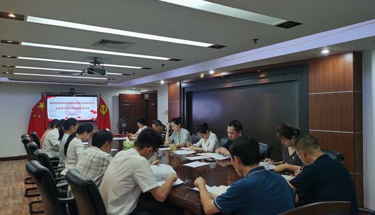 海南省旅控机关党支部召开党史学习教育专题组织 生活会